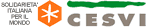 Cesvi